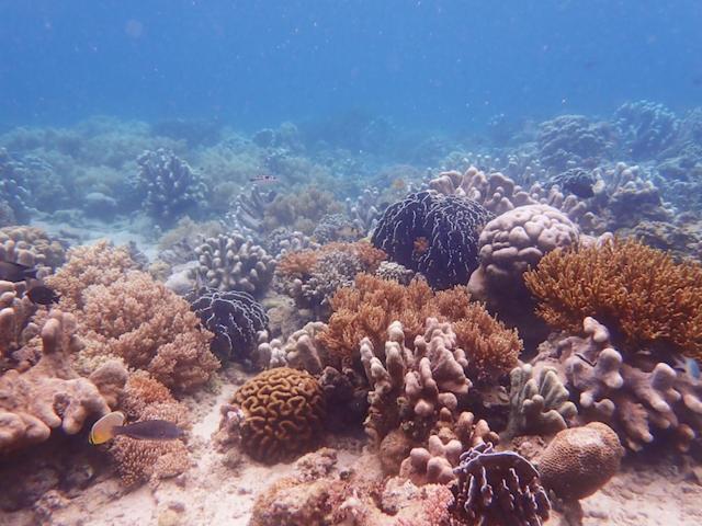 Nomad Divers Bangka Likupang Экстерьер фото